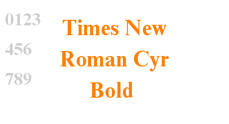 Times New Roman Cyr Bold