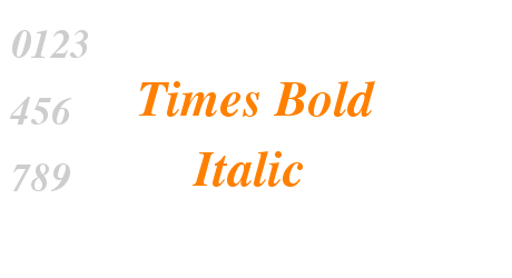 Times Bold Italic