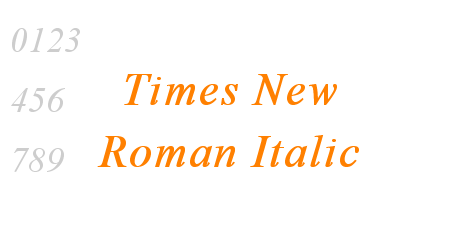Times New Roman Italic