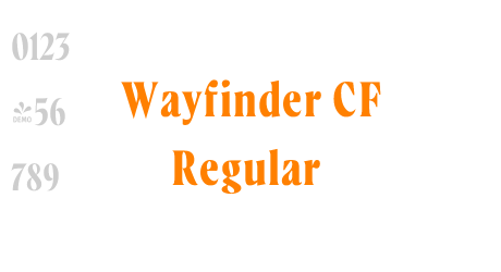 Wayfinder CF Regular
