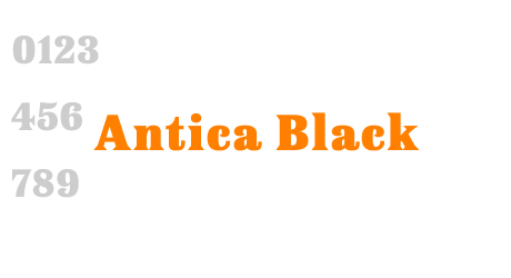 Antica Black