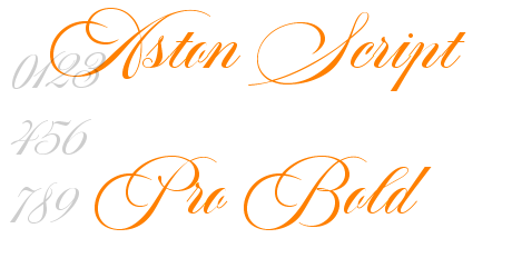 Aston Script Pro Bold