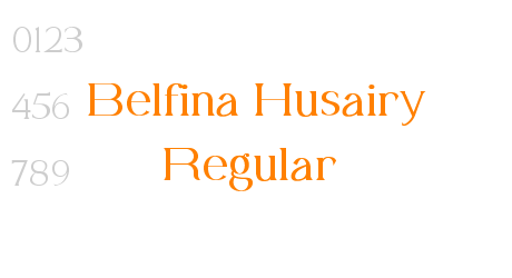 Belfina Husairy Regular