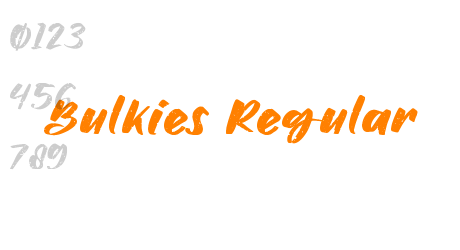 Bulkies Regular