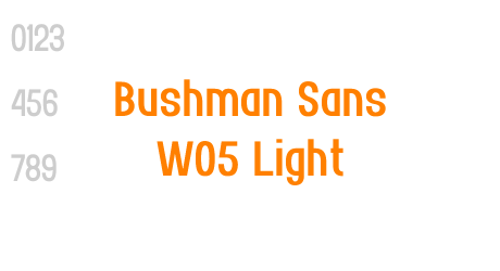 Bushman Sans W05 Light