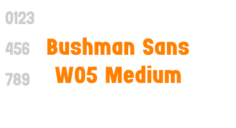 Bushman Sans W05 Medium