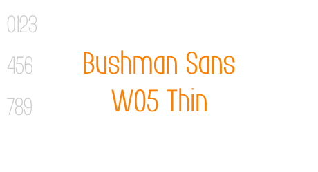 Bushman Sans W05 Thin
