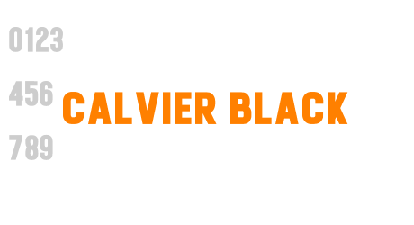 Calvier Black
