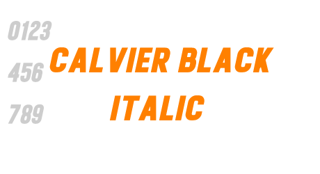 Calvier Black Italic