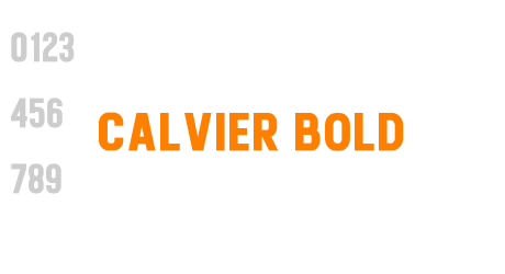 Calvier Bold