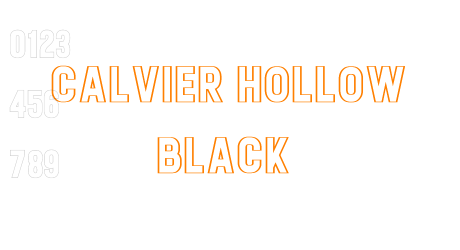 Calvier Hollow Black