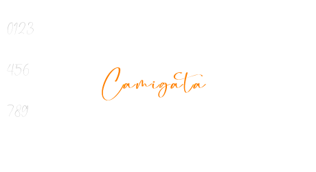 Camigata