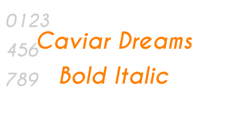 Caviar Dreams Bold Italic