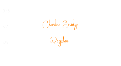 Charles Bridge Regular