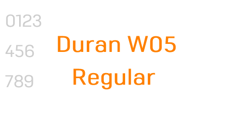 Duran W05 Regular