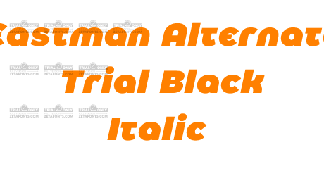 Eastman Alternate Trial Black Italic