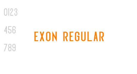 Exon regular