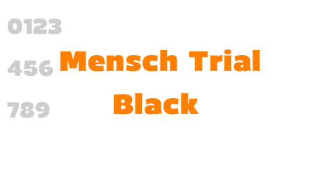 Mensch Trial Black