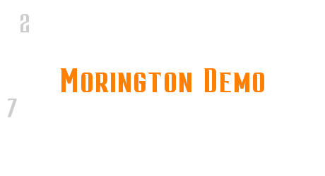 Morington Demo