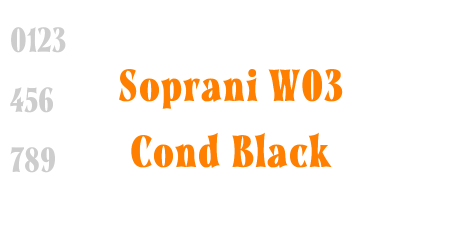 Soprani W03 Cond Black