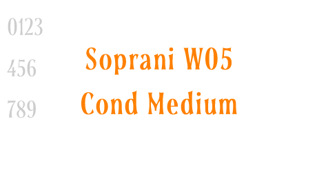 Soprani W05 Cond Medium
