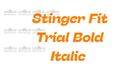 Stinger Fit Trial Bold Italic