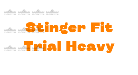 Stinger Fit Trial Heavy