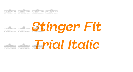 Stinger Fit Trial Italic