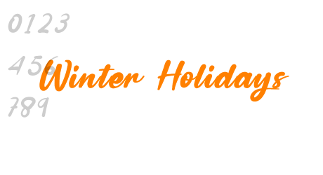 Winter Holidays