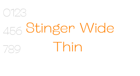 Stinger Wide Thin