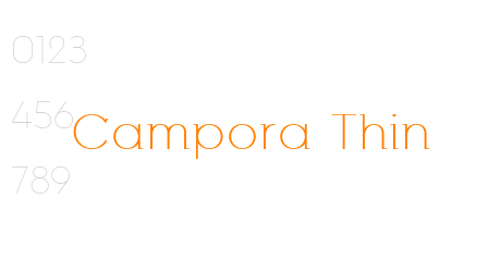 Campora Thin