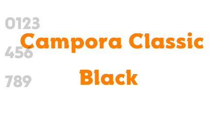 Campora Classic Black