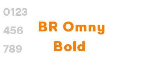 BR Omny Bold