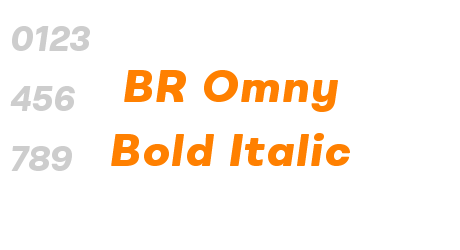 BR Omny Bold Italic