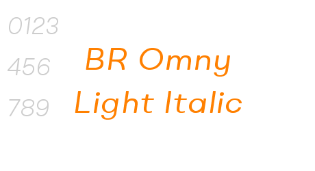 BR Omny Light Italic