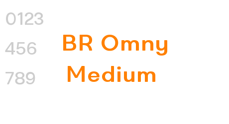 BR Omny Medium