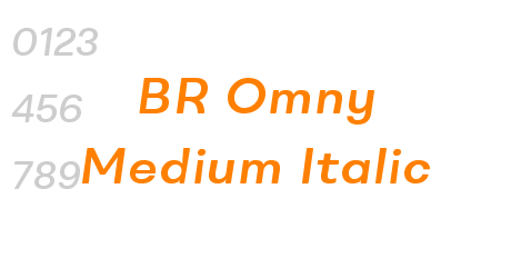 BR Omny Medium Italic