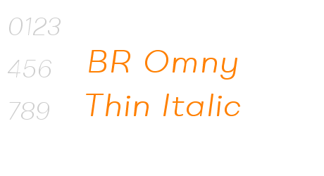 BR Omny Thin Italic