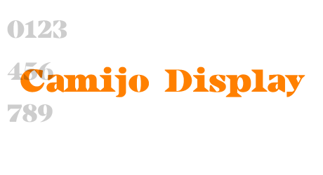 Camijo Display