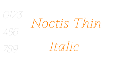 Noctis Thin Italic