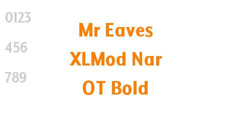 Mr Eaves XLMod Nar OT Bold