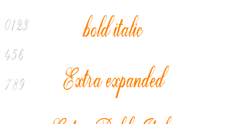 Natural Fence bold italic Extra expanded ExtraBold Italic