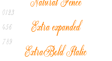 Natural Fence Extra expanded ExtraBold Italic