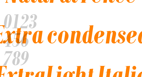Natural Fence Extra condensed ExtraLight Italic