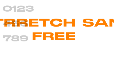 STRRETCH SANS FREE