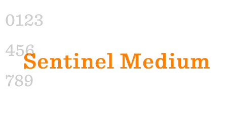 Sentinel Medium
