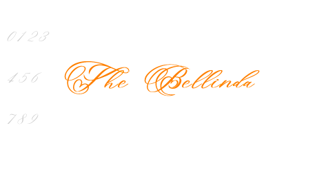 The Bellinda
