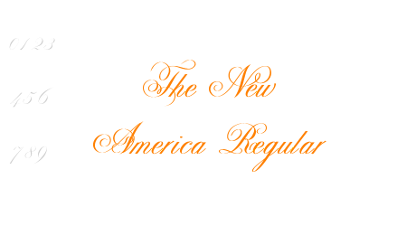 The New America Regular
