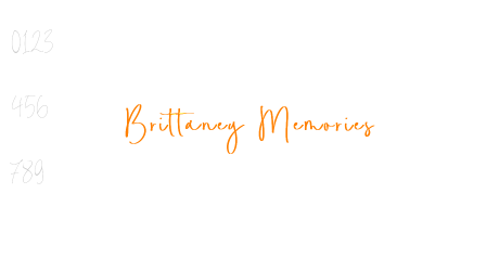 Brittaney Memories