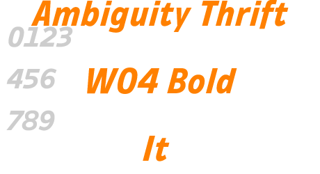 Ambiguity Thrift W04 Bold It